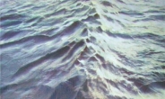 [지상갤러리] 헤럴드갤러리, 전미경  초대전 ‘그들, 그렇게 바다가 되다’
