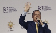 터키 에르도안, 무제한 권력 신호탄 쐈다
