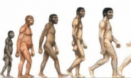 인류 20만년전 기원설 뒤집어졌다 “30만년전”