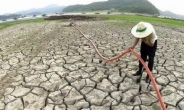 [가뭄에 AI 밥상물가 비상] ‘연례행사’ 가뭄에 타들어가는 농심…수자원 관리 ‘컨트롤타워’ 절실