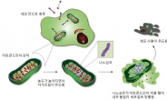 울산과기원 유자형 교수팀, 새 항암치료법 개발