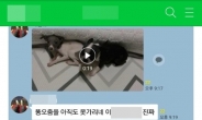 “10만원짜리였으면 죽였다” 강아지 학대 영상 논란