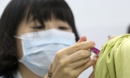 [위험한 중년 건강 ①] 일본뇌염, 어린이보다 40세 이상이 더 위험하다
