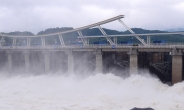[헤럴드포토] ‘ 팔당댐 초당 최대 3천여톤 방류’
