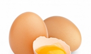 달걀 매일 1알 섭취, 대사증후군 위험 낮춘다