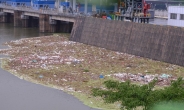 [헤럴드포토] ‘팔당댐에 유입된 쓰레기…’