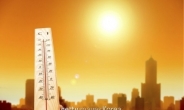 7월 평균 최고기온 30.6도, 폭염 6.4일…역대 네 번째 더위