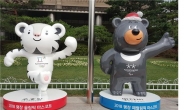 평창동계올림픽 마스코트 ‘수호랑ㆍ반다비’, 성북구 찾아온다