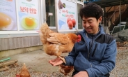 [리얼푸드]“닭은 스스로 씻죠…살충제 필요 없어요”- ‘윤리적 사육’ 실천하는 지각현 농부