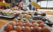계란 판매 재개 하루만에…살충제 농가 29곳으로 늘어 ‘에그 포비아’(1보)