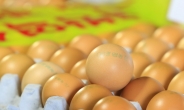 살충제 계란 없다더니…부산ㆍ제주, “젤란ㆍ15연암 반품하라” 긴급재난문자