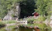 산림청, 국유림 경영ㆍ경관형 명품숲 10개소 발표···울진 금강송 숲ㆍ홍천 잣나무 숲 등 지역별 산림관광 명소로 육성