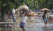美 하비에 정신팔린 새…남아시아 최악홍수로 1200명 사망