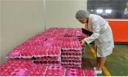 ‘살충제 계란’ 재발 막는다…정부, 살충제 계란 검사항목 확대