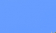 [헤럴드포토] ‘파란하늘 아래 밤송이’