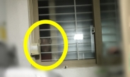 “창밖 낯선남자, 살려주세요” 자취여성이 올린 소름돋는 사진