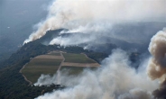 [포토뉴스]불타는 와인 메카…美 캘리포니아 북서부 대형 산불