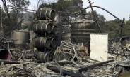 “핵폭탄 터진 것 같았다” ‘와인 메카’ 나파 산불의 충격적 기록들