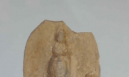 3명 모두 여성 보살인 국보급 금동상 첫 발굴…6세기 것 추정
