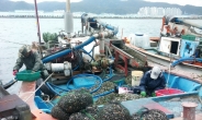 울산 남구, ‘태화강 바지락 어장’ 조업 재개