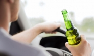 음주운전 뺑소니 사망자 月평균 4명…도로위 시한폭탄
