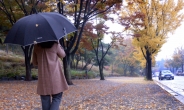[헤럴드포토] ‘가을비’ 우산속으로~
