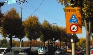 [뉴스탐색] 서울 시내 단 5곳 ‘장애인 보호구역’을 아시나요