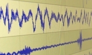 [포항 지진] 소방청 “포항 지진 후 전국서 지진감지 신고건수 3823건”