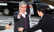 서해순, 안민석 의원 인권위에 진정 “도올 김용옥, 이외수도 동조해 심각”