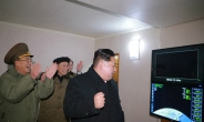 북한은 ‘핵파티‘ 중…김정은 웃고, 불꽃놀이 자축