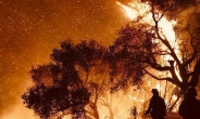 “성탄절까지 화마와 싸워야할 듯” 일상이 된 미국 캘리포니아 산불