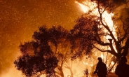 美 캘리포니아 산불 2주째…“기후변화 재앙, 뉴 노멀 됐다”