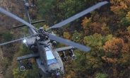 육군, 새해 앞두고 아파치 헬기 편대사격훈련