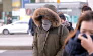 [헤럴드포토]올 겨울은 추운 날만…