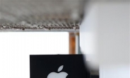 애플 ‘트럼프노믹스’에 화답…美에 380조 ‘통큰투자’