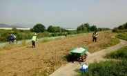 성남시, 지역공동체 일자리사업 110명 모집