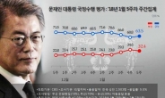 평창동계올림픽 개막 앞두고 文 대통령 지지율 반등