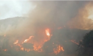 양산 토곡산서 큰불…4시간 만에 불길 잡혀 주민들 안도