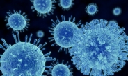 평창 노로바이러스 비상…원인과 증상은?