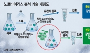 식중독 유발하는 ‘노로바이러스’…‘족집게’ 검사법 국내 최초 개발