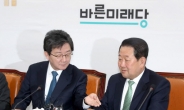 김영철 방한…통일대교 막은 한국당, 현충원 찾은 바른미래