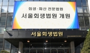[회생법원 개원 1년②] “실질적 기업보호 필요”…도산 전문가들 ‘쓴소리’도