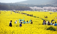 70주년 4.3 아픔 찬란한 봄으로 보듬어주기…제주 4월에 가볼만한 곳