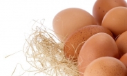 부활절, 매년 날짜 바뀌는 이유와 달걀 나눠 먹는 이유