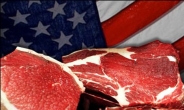 한국 ‘미국산 쇠고기’ 수입 2년 연속 세계 2위…1위 국가는?
