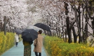[22일 날씨] 흐리고 비…미세먼지 '양호'