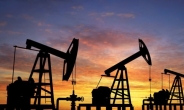 사우디, 2년내 12조 규모 비석유분야 민영화 한다