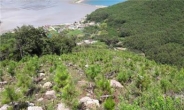 부산 미세먼지 대책, 1000만그루 나무 심는다