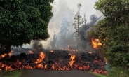 하와이화산 용암 분출 잠시 소강…가옥 36채 불타
