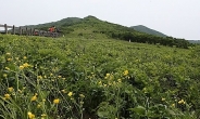 설악산국립공원 ‘귀둔리~곰배령’길 열렸다…“탐방예약 없인 입장불가”